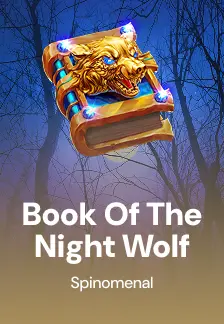 Book of The Night Wolf